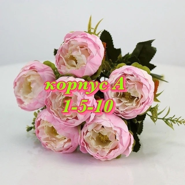 ТЦ корп.А 1-5-10 Dng Phi-Phi